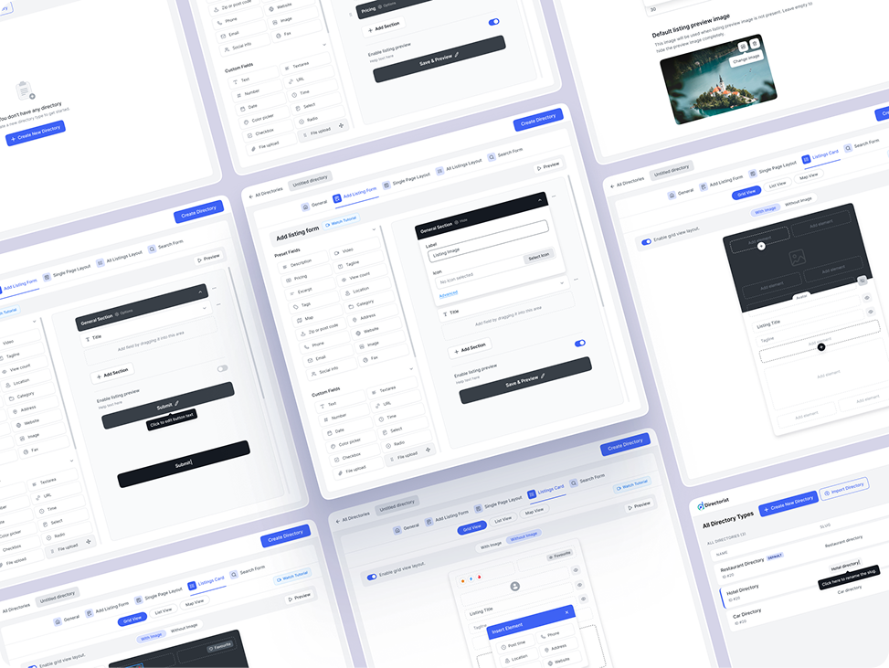 Directorist Builder interface overview